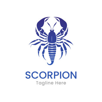 Scorpion logo design template vector illlustration