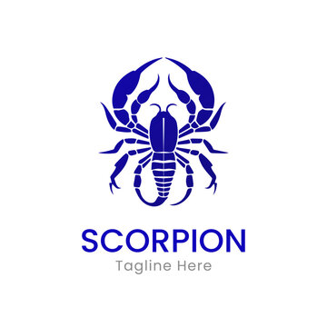 Scorpion logo design template vector illlustration