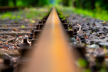 Rusty railway track on an abandoned branch line in a forest in Germany. Symmetrical worm's eye view...