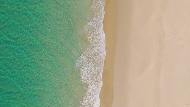 A perfect beach with nobody, in a sunny day and with colorful water, sea and ocean with litle waves; view from a drone shot