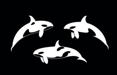 Killer Whale logo. Isolated killer whale on white background
