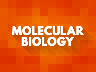 Molecular Biology - branch of biology that studies the molecular basis of biological activity, text concept background