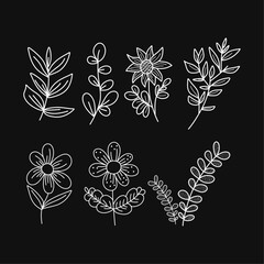 Minimalistic doodle floral set on isolated black background. Linear clean style. For prints, postcards, logos.