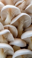Mushroom Gills: A Macro closeup View of mushrooms gills, nature’s Patterns image suitable for nature, food, or design themes - obrazy, fototapety, plakaty