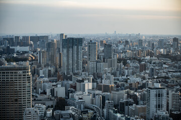 Obraz premium Tokyo city skyline - Japan