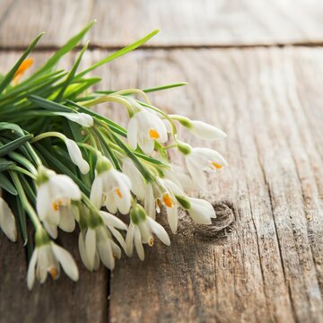 Bunch of crocus and snowdrops on the wooden table.