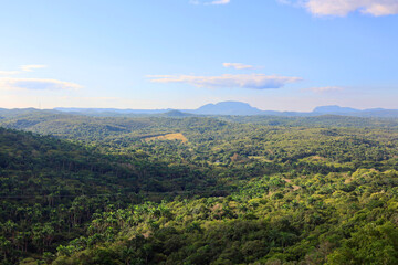 The Valley of 1000 Palms, Valle de Yumuri in Cuba, Caribbean, America.