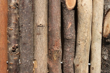 wooden sticks are lined up in parallel