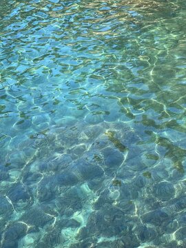 Sea glittering clear water surface with seaweed. 
