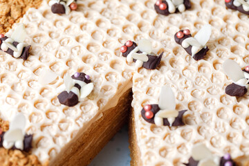 Honey cake with decoration of honeycombs and chocolate bee. Close up.