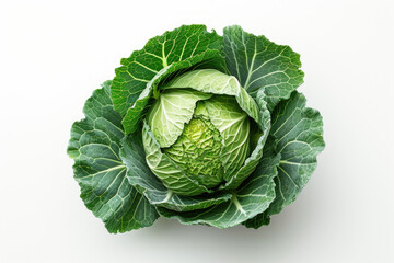 A Head of Cabbage on a White Background A single head of cabbage is placed on a white background, creating a simple and minimalistic composition.