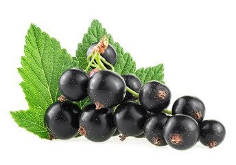 Fresh black currant berries with green leaves isolated on a white background
