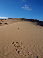 footprints in the sand