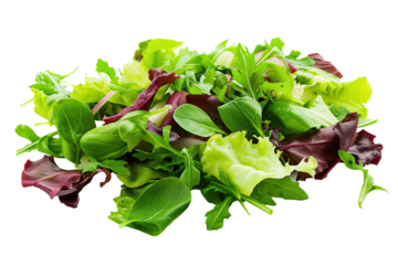 Fresh mixed salad greens isolated