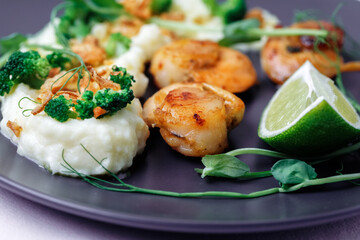 Close up scallops served with garnish mashed potatoes on black plate. Side View.