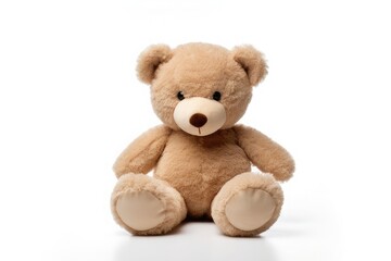 toy teddy isolated on white background