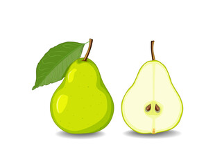 Vector illustration  pear fruit with shadow. Image of ripe pear with  leaf on white background.