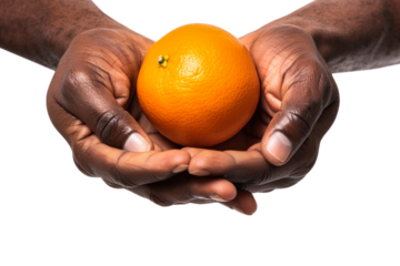 A person holds an orange fruit firmly in their open hands. Isolated.