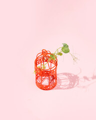 Plant in a birdcage, creative composition on a pastel pink background, awakening of nature in spring, minimal concept.