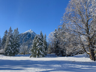Snow-covered winter landscape with mountains in Pertisau at Lake Achensee