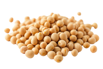 Set of dried soybeans isolated on transparent white background.