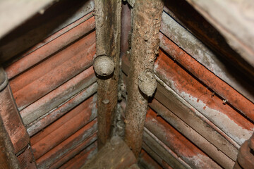 Wasp nest under one roof