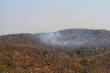 Burning forests for agricultural purposes results in the generation of PM 2.5.