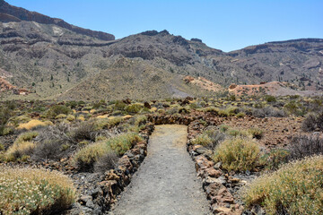 Volcanic landscape with a footpath  in El Teide National Park on Tenerife, Spain
