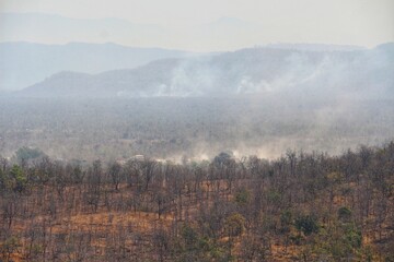 Burning forests for agricultural purposes results in the generation of PM 2.5.