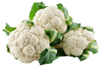 Cauliflower isolated on transparent white background.