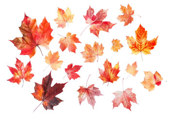 Autumn background frame Autumn banner design on transparent white background.