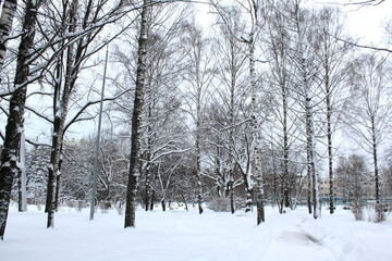 City park on a winter day under a blanket of snow.