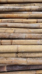 Close up background of dry thick yellow bamboo at Jakarta, Indonesia