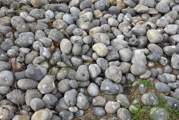 Galets gris au jardin