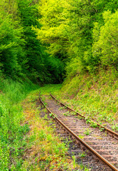 Railway track overgrown by fresh green vegetation in a curve of the a  side track railroad in...