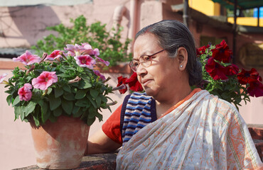 an aged Bengali woman, feels proud as she holds a potted petunia plant with several beautiful looking pink flowers. At a rooftop garden during winter in Kolkata.