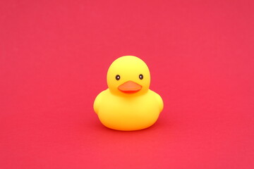 A yellow rubber duck stands on a red background.