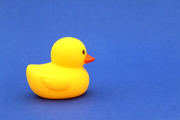 A yellow rubber ducky stands on a blue background.	