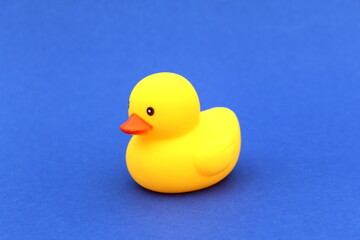 A yellow rubber ducky stands on a blue background.