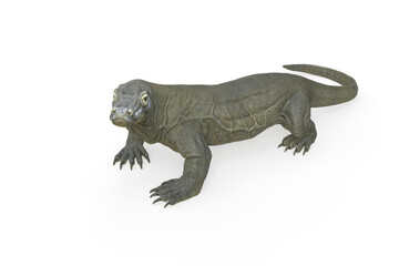 komodo dragon in cool view on white background