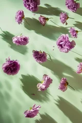 Draagtas Purple flowers with shadows on a green background levitating. Spring and Summer aestetic floral concept. © Bozena Milosevic