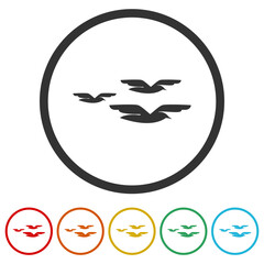 Birds in flight icon. Set icons in color circle buttons