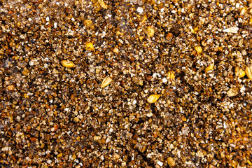 Texture background with selective focus of seedlings in fertile soil.