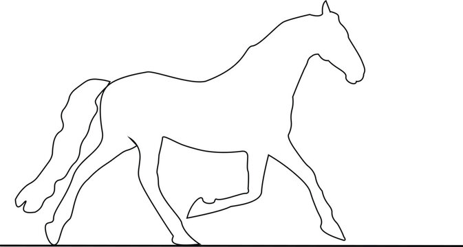 continuous single line drawing of Horse, minimalist art, equine sketch, line art decor, animal illustrations