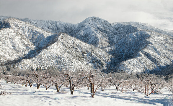 Winter in Oak Glen.