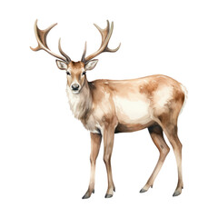 Naklejka na ściany i meble Deer watercolor Illustration for greeting cards, printing and other design projects.