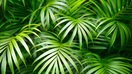Lush Green Foliage, Nature and Environment, Fresh Summer Leaves, Botanical Garden Concept