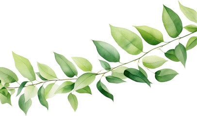Set of watercolor green leaves elements. Collection botanical decoration suitable for Wedding Invitation, Greeting card.