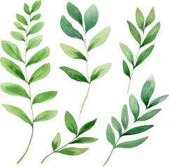 Set of watercolor green leaves elements. Collection botanical decoration suitable for Wedding Invitation, Greeting card.