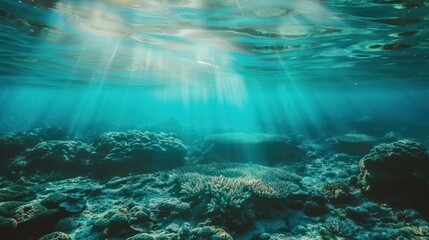 Fototapeta premium An ocean scene with beautiful coral formations illuminated by the light filtering through the blue-green water